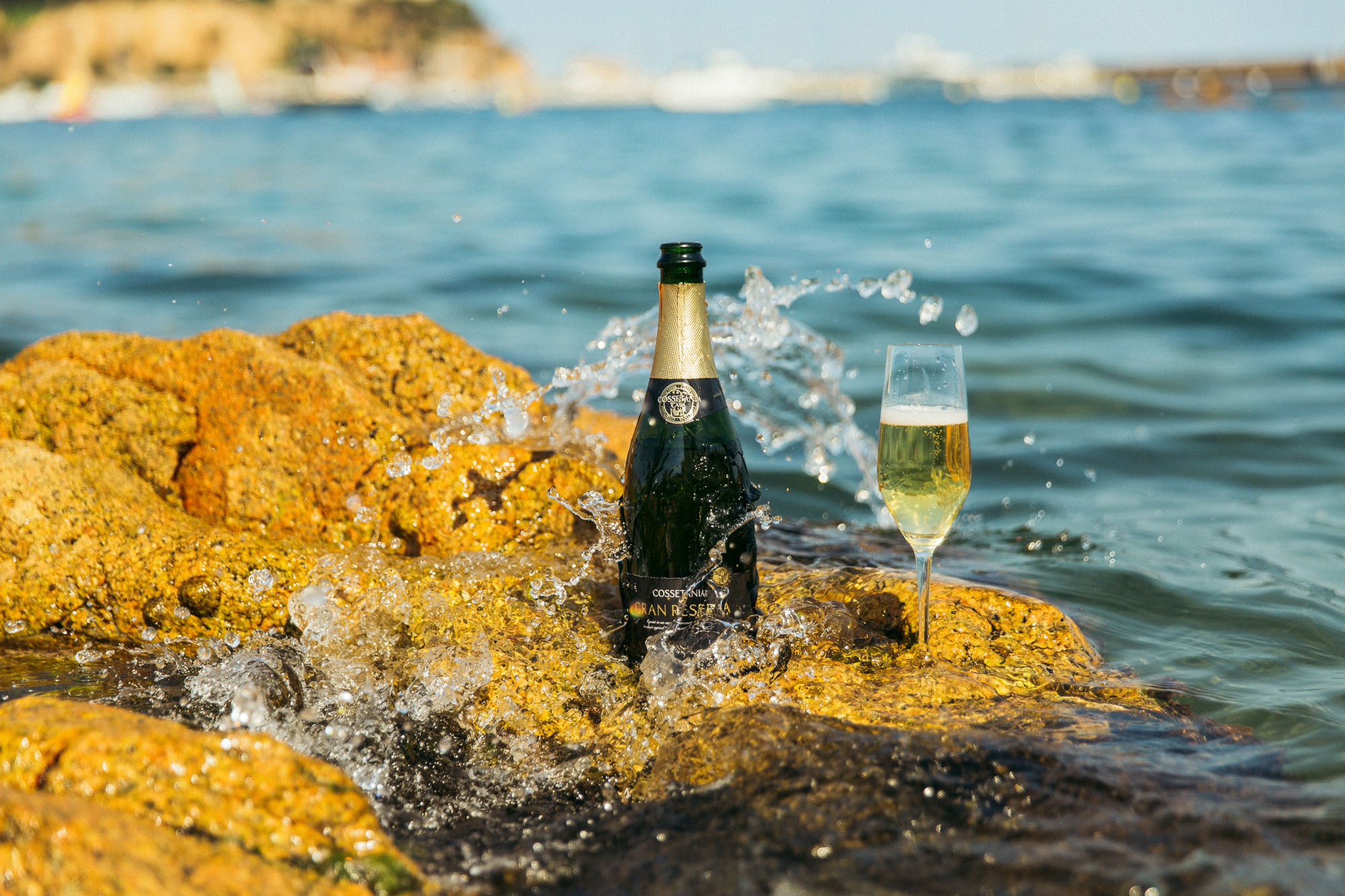 Cava Cossetània Gran Reserva