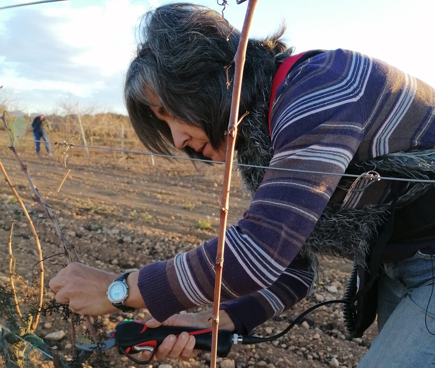 La poda de la vinya, al costat de la Isabel Quer