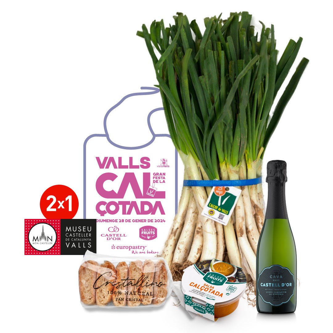 logo-vector-ajuntament-de-valls