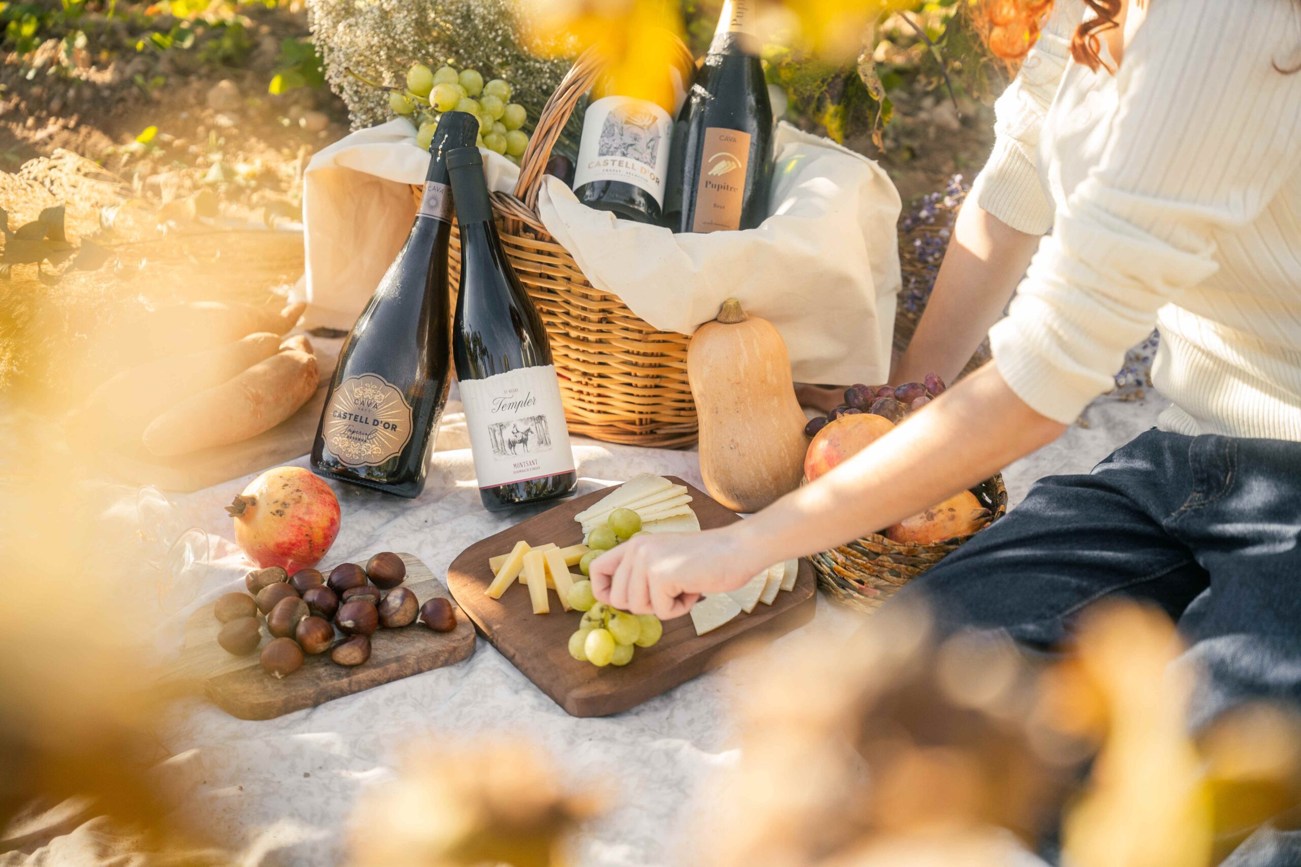 tardor castell dor-05361