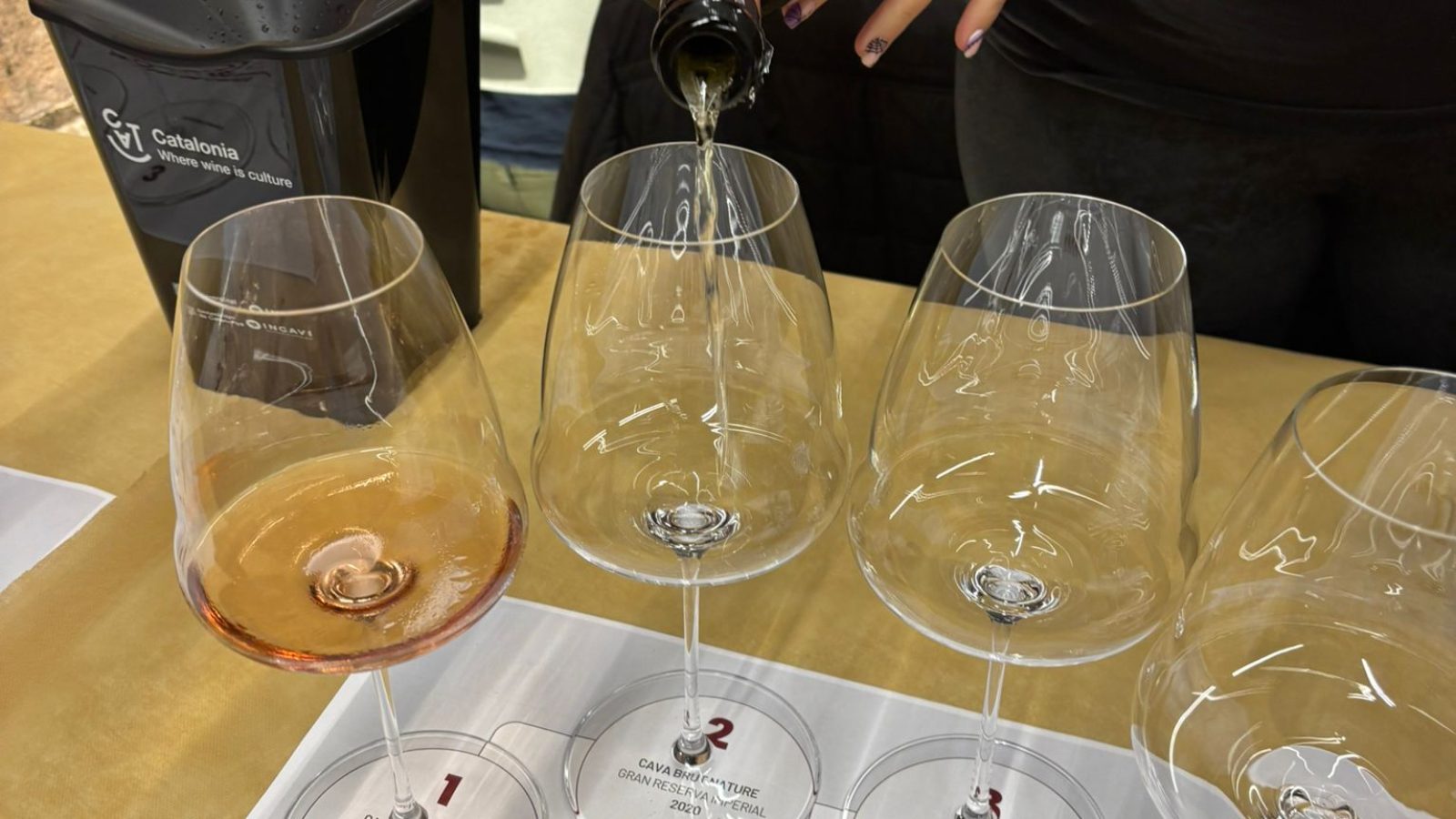 11481274-4344-4f16-8165-494cec677099