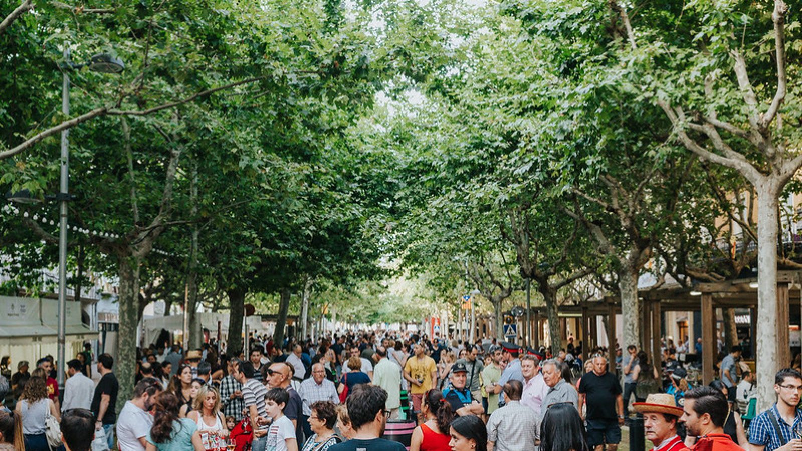 28003149356_e1b77649bf_c