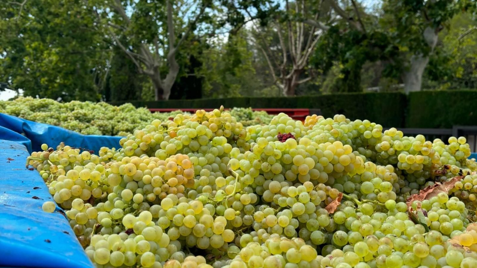 457277670_18074788939532322_302752228820296914_n