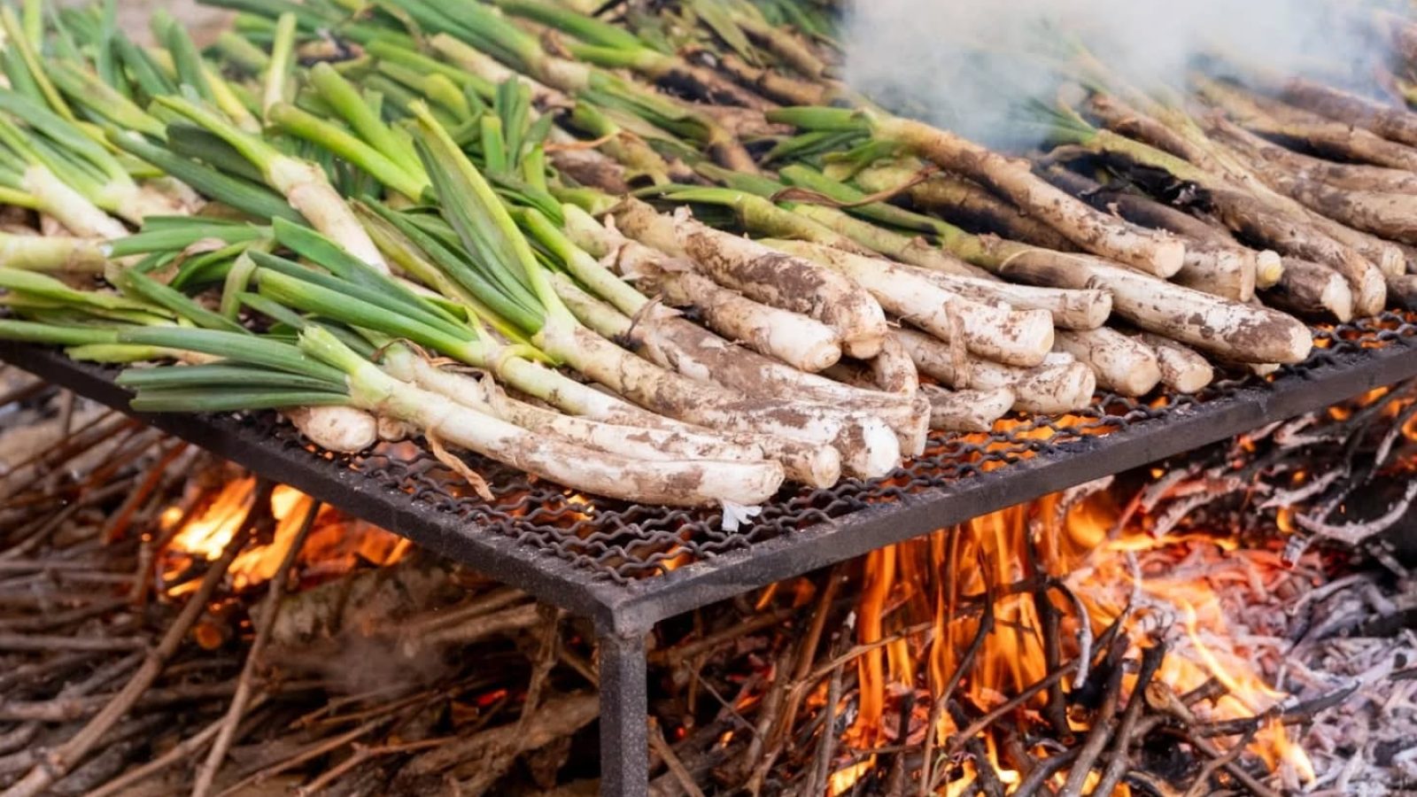 475099856_18125621809410297_3470552682469257671_n