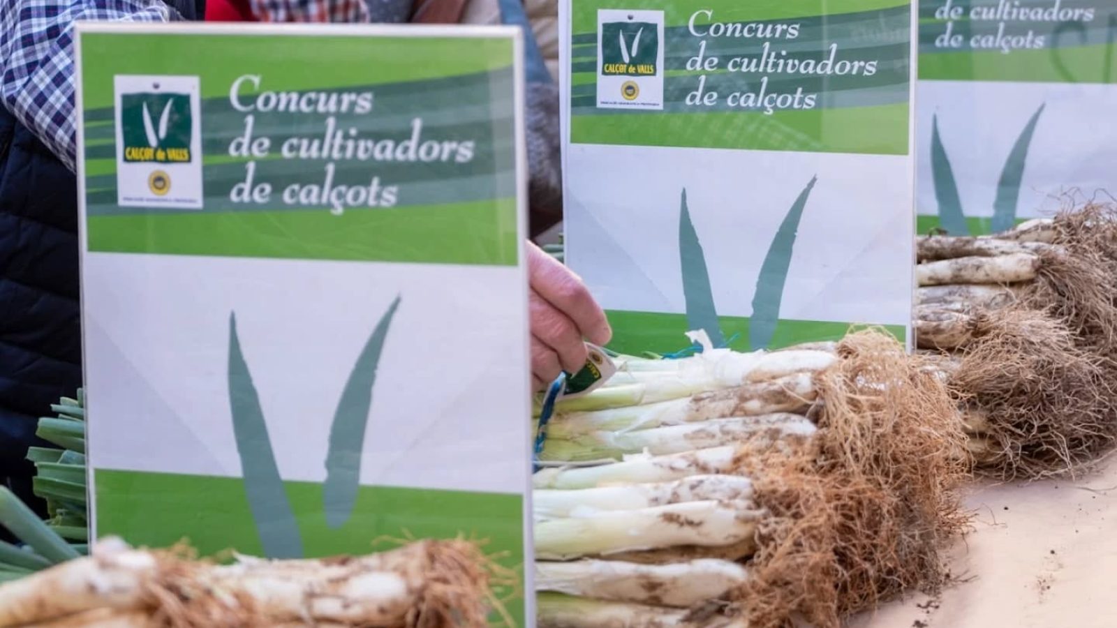 475115689_18125621800410297_8859806834554636830_n