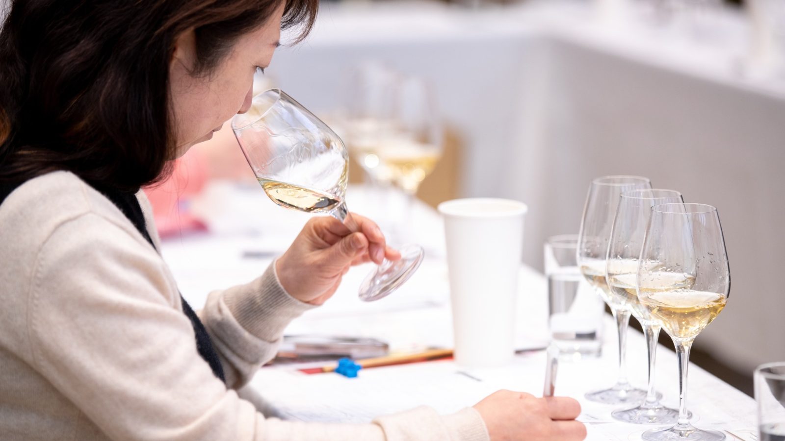 475746770_1035156025317835_7080321737012687590_n