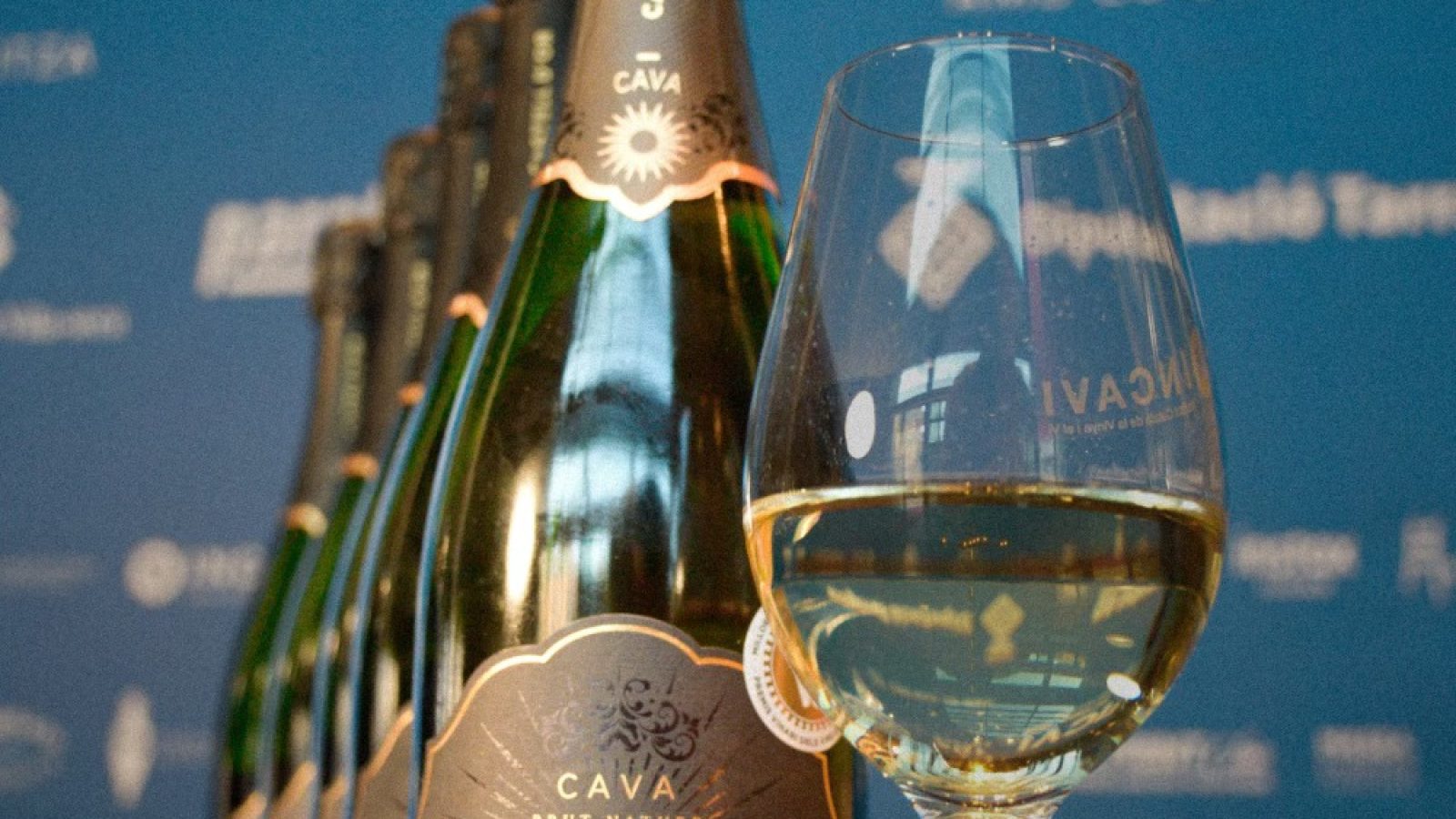 568262900_1397284715734403_1012822313612887516_n