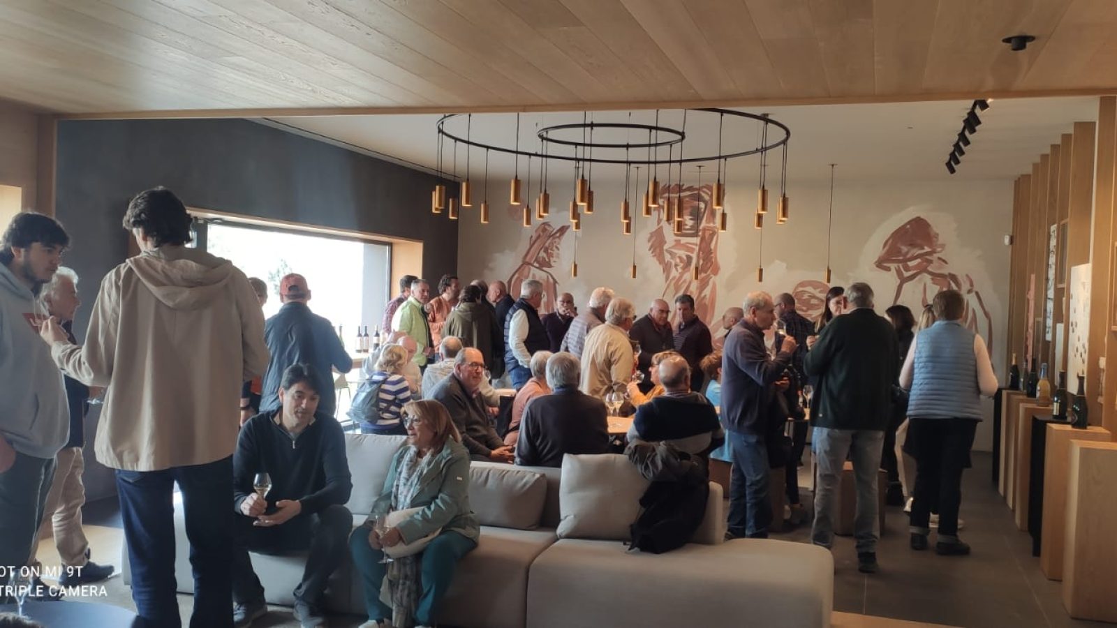 89034f34-6c9a-4fa4-9a6d-b67fe05aef9b