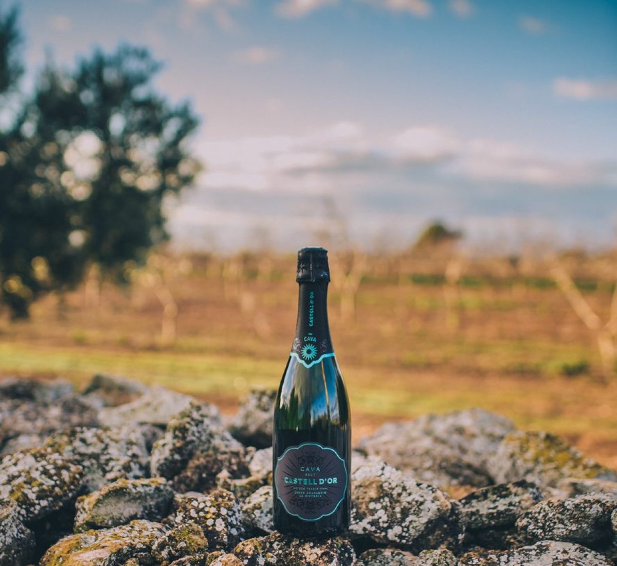 Concurs Sélections Mondiales des vins Canadà