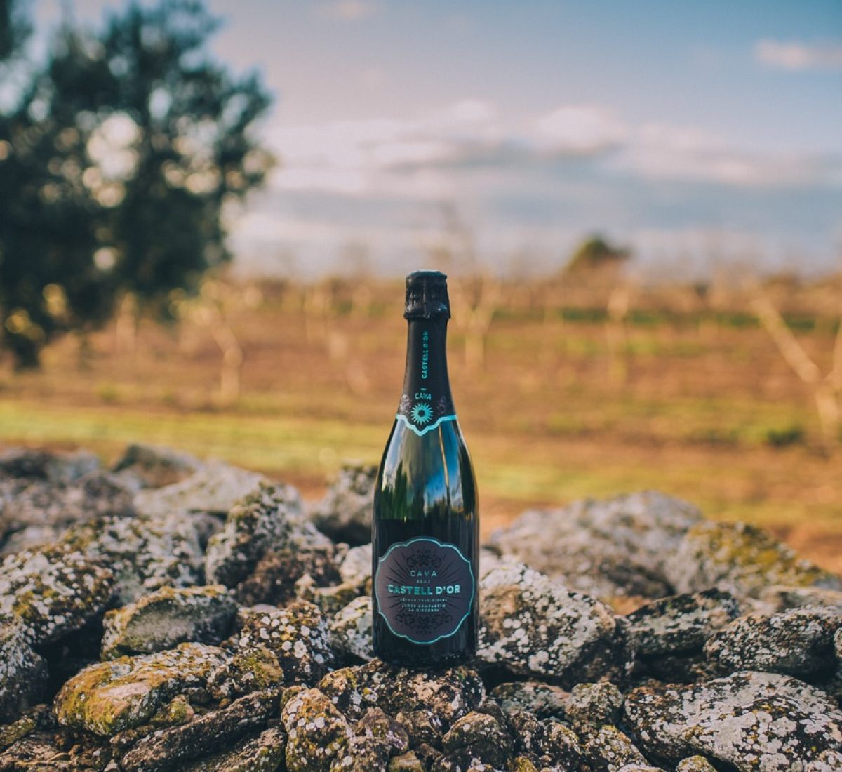 ampolla de cava brut castell dor