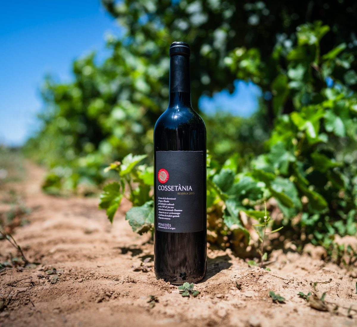 Cossetània Vi negre Reserva