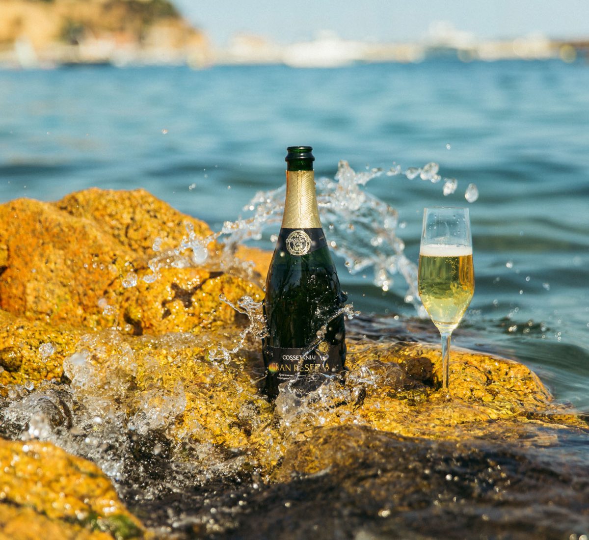 Cava Cossetània Gran Reserva