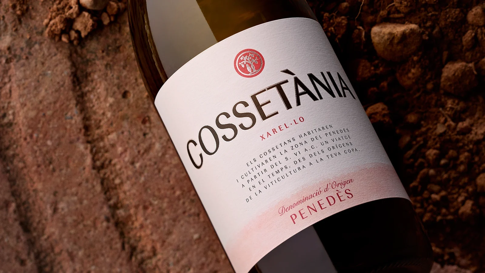 Cossetania-vi-web2
