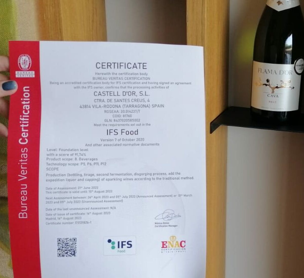 IFS-2022-e1662981677147