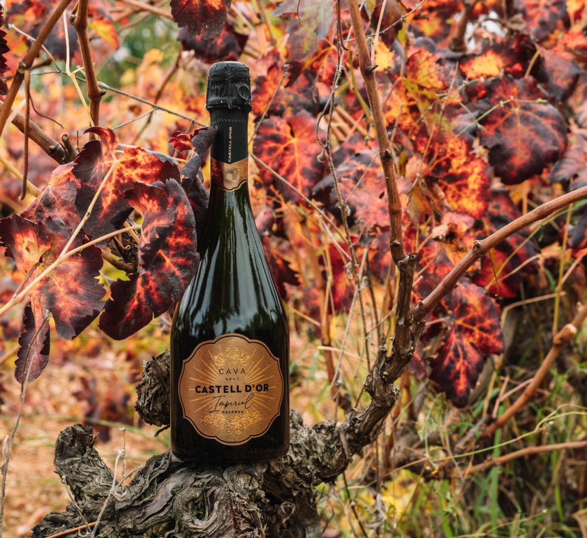 Cava Brut Imperial Castell d'Or