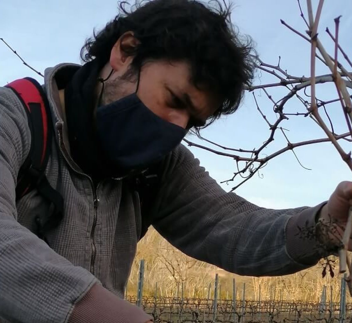 Poda a la vinya amb Xavier Padró