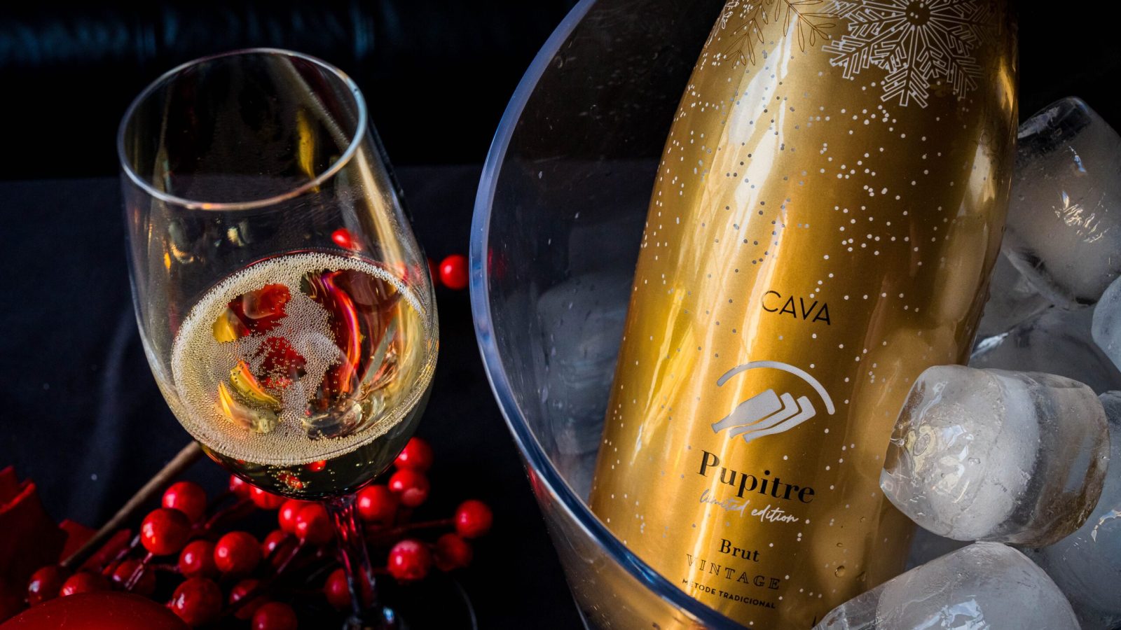 Portal 22 Castell d'Or Navidad2023-24-43