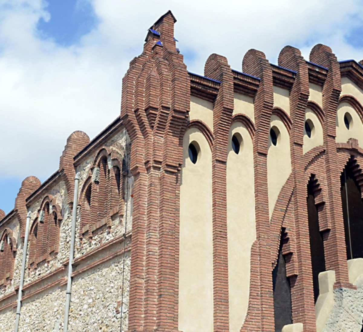 Cevipe Grup Cooperatiu i Castell d’Or incorporen tres noves cooperatives