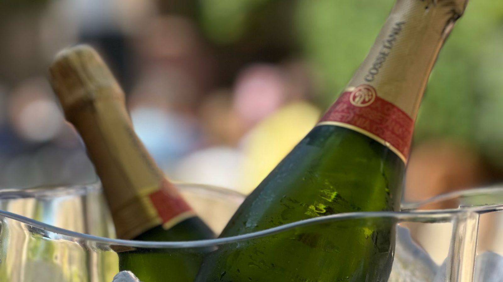 WhatsApp Image 2025-04-09 at 20.25.53 (1)