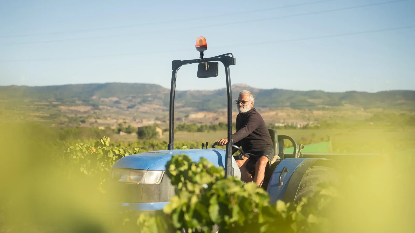 castelldor-verema2025-1