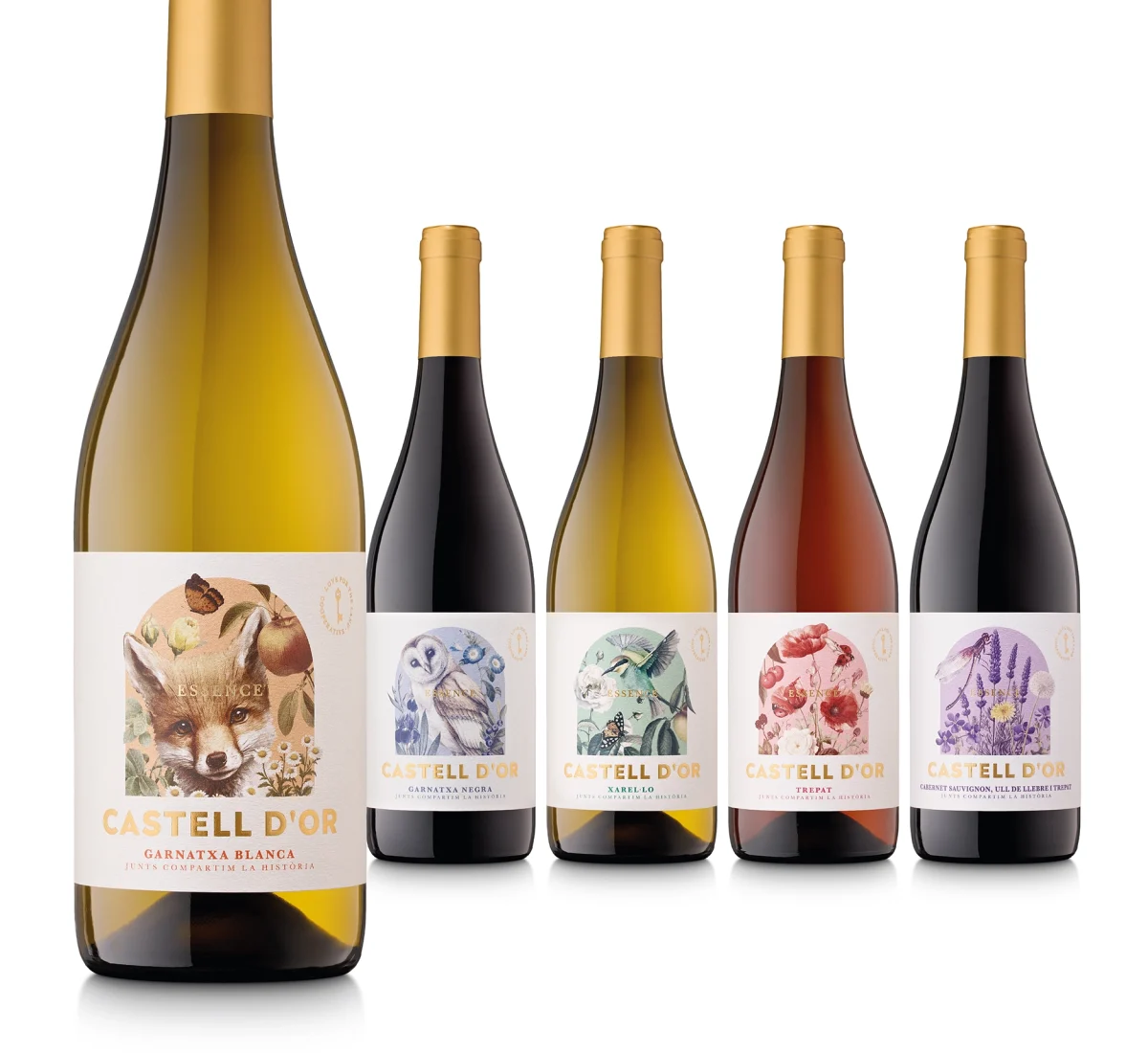 castelldor-vins2024-blog1