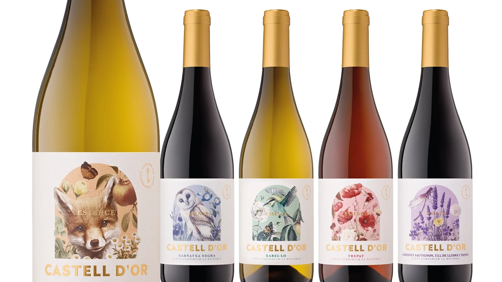 castelldor-vins2024-blog1
