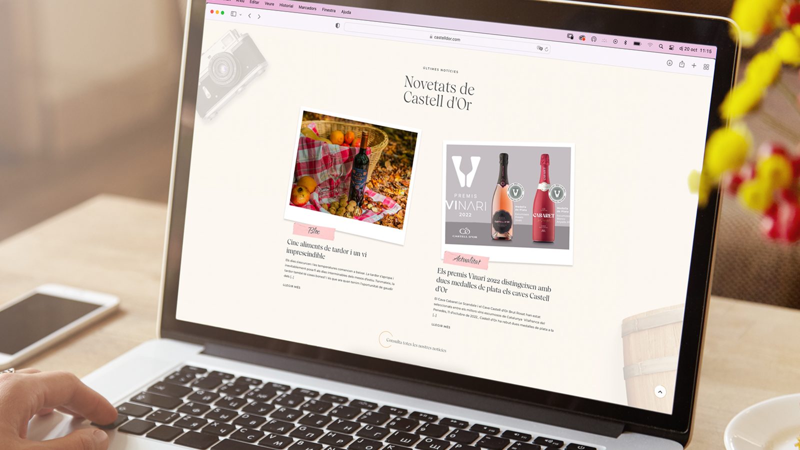 Nova web Castell d'Or