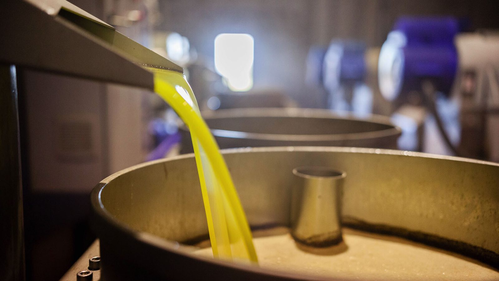 phpThumb_generated_thumbnail(12)