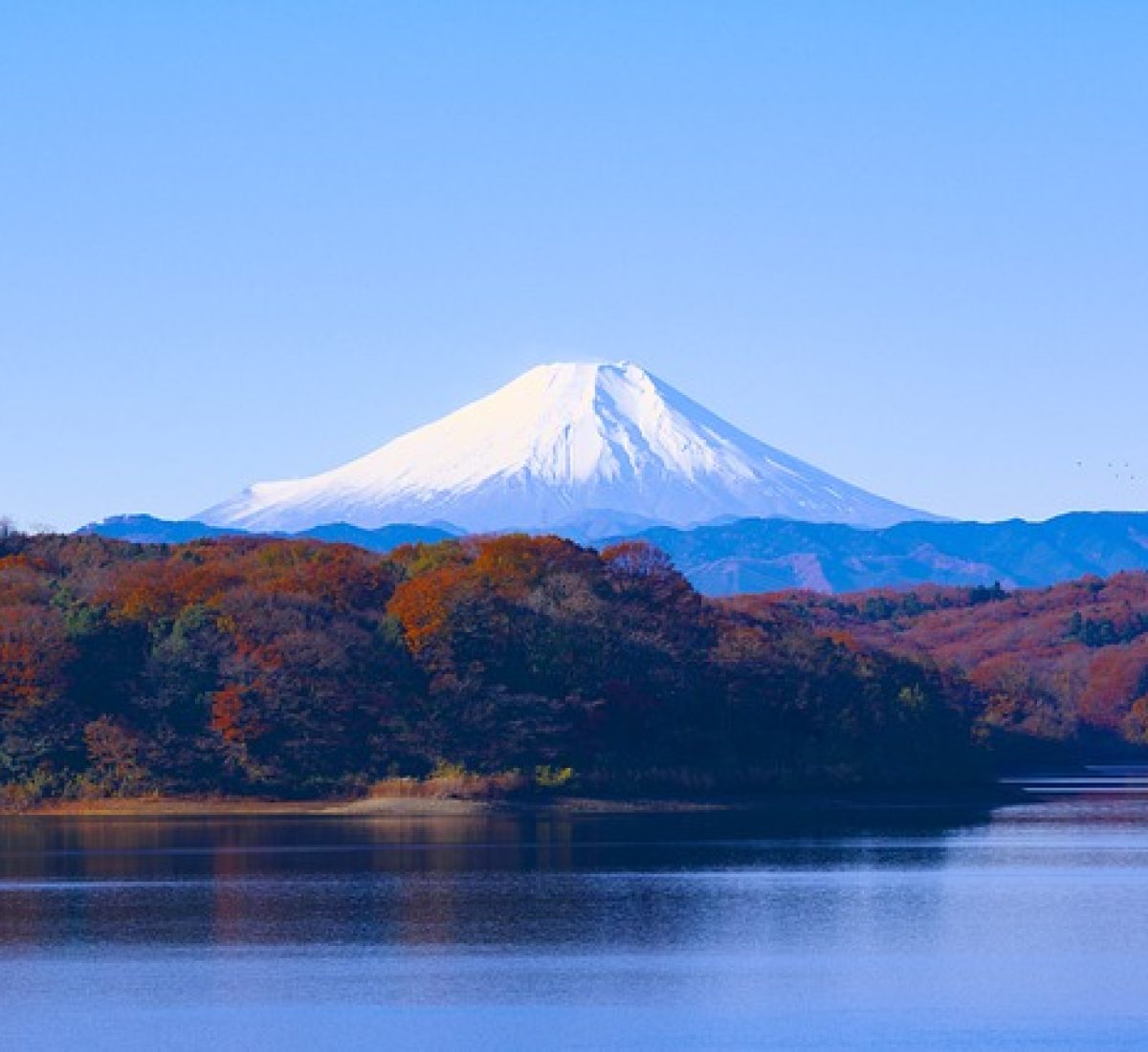 sayama-japan-1706942_640