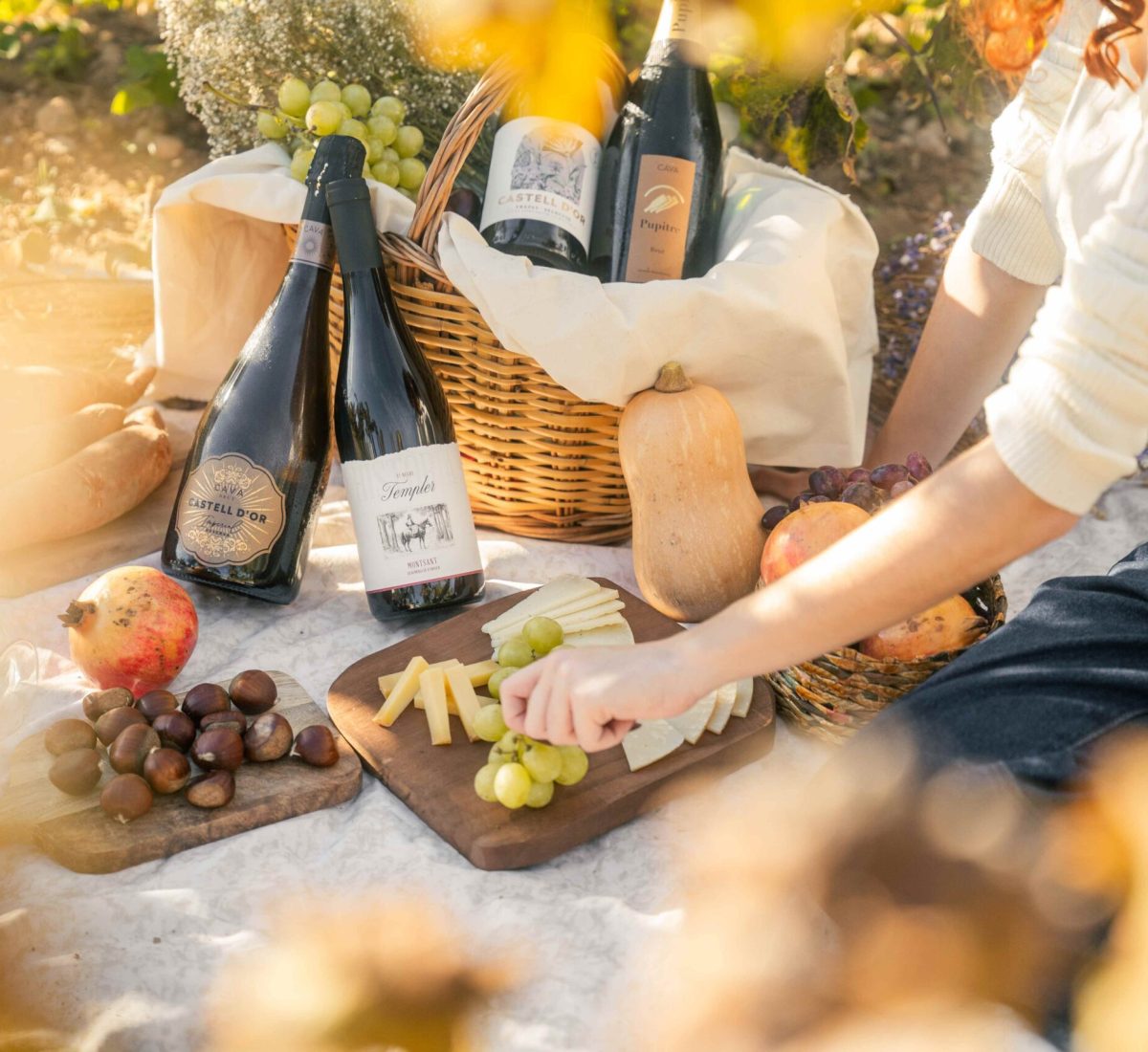 tardor castell dor-05361