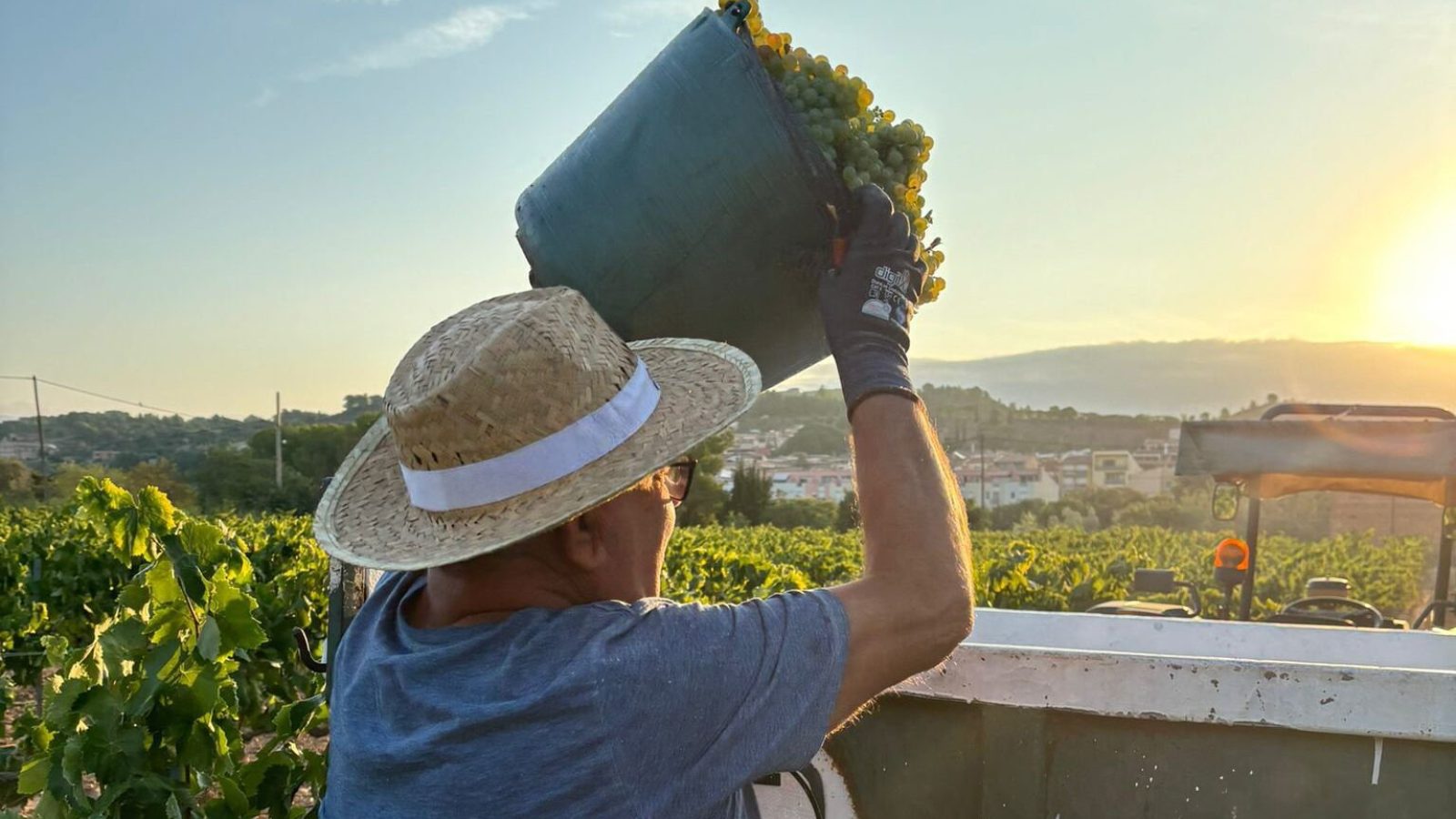 verema vila-rodona 2024_1